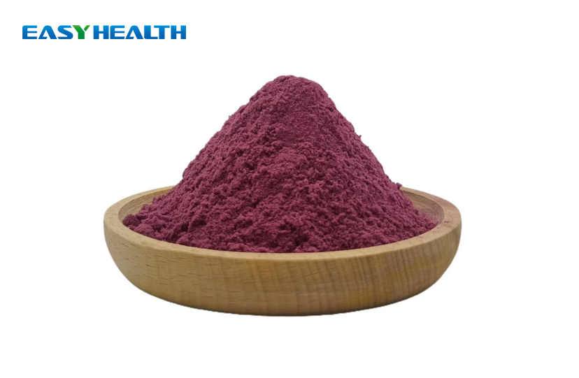 Organic Elderberry Extract